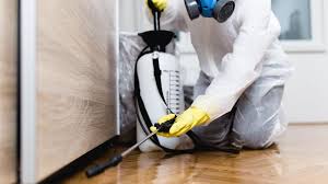 Best Indoor Pest Control  in Stickney, IL